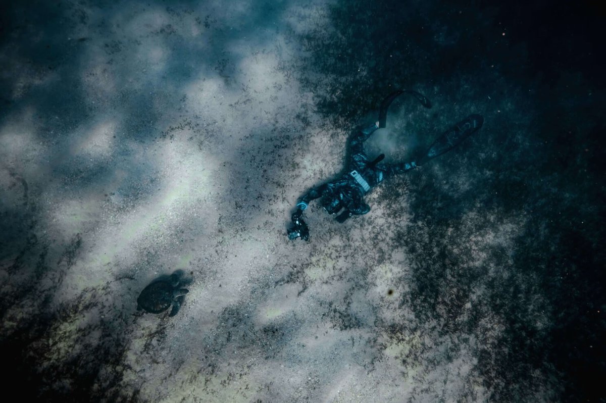 Freediver with turtle at Easter fun dive